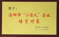 叼嘿视频榮譽，玻璃（lí）鋼化（huà）爐